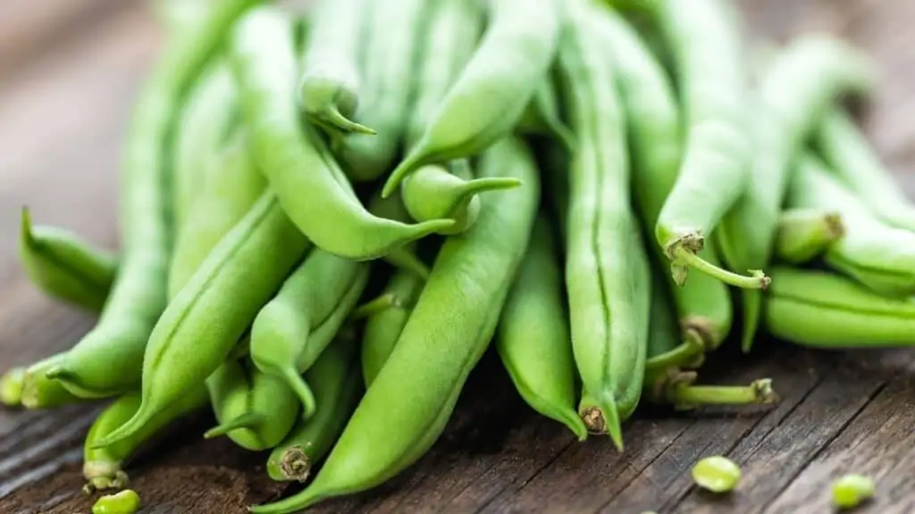 Do beans contain resistant starch