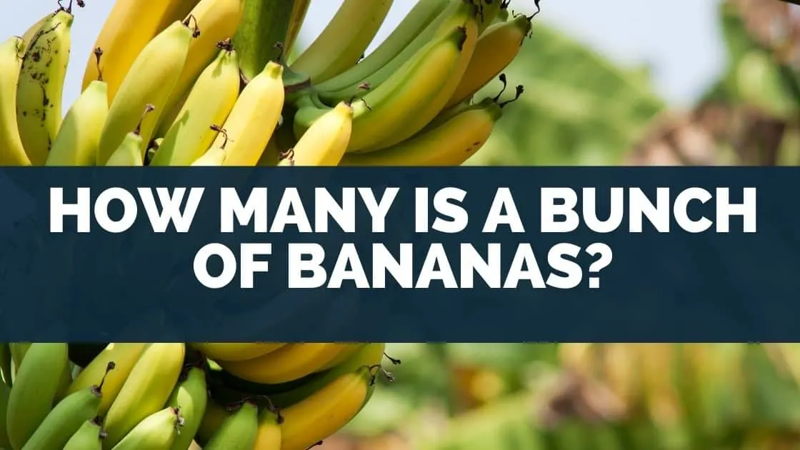 How Many Is a Bunch of Bananas
