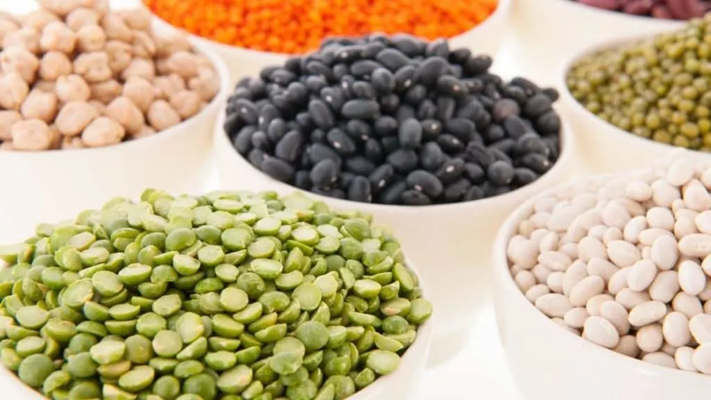 Is there a way to consume legumes on a Paleo diet