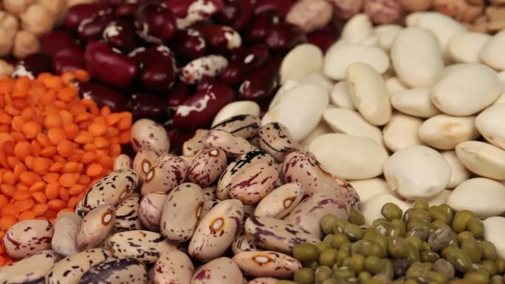What beans are non-starchy
