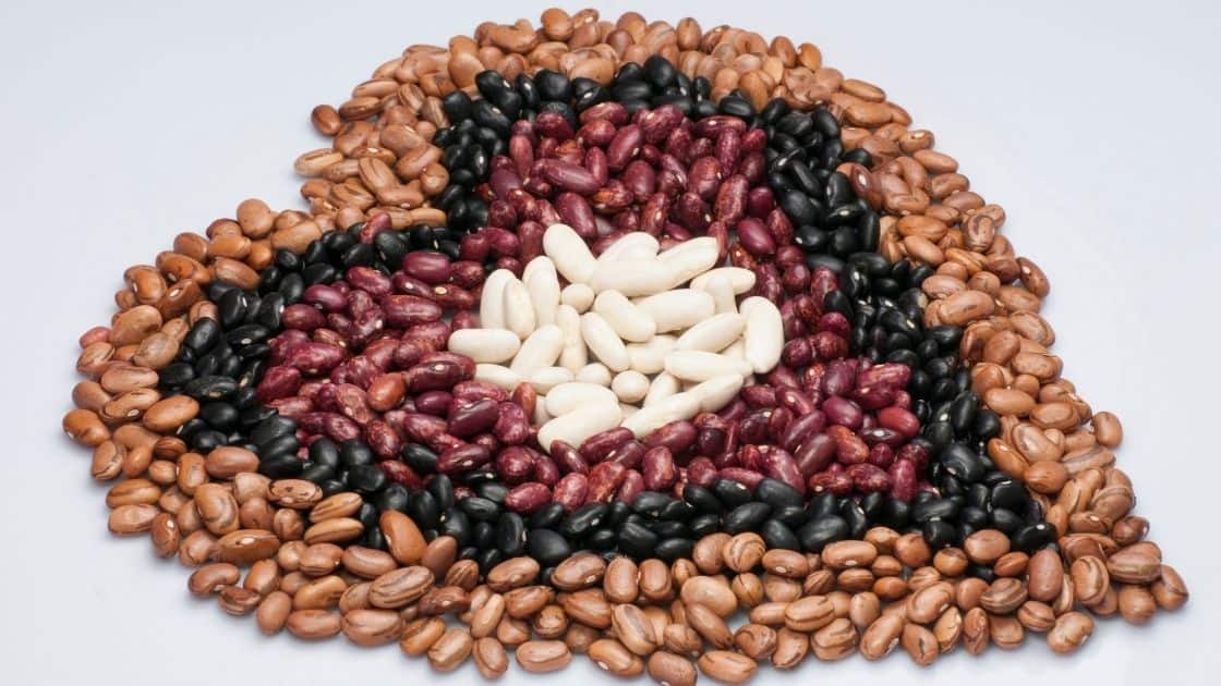 Are Beans Considered a Starch? [Or Protein..] Eat For Longer Food