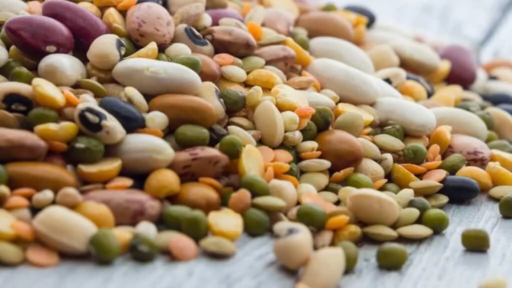 Are Beans High Carb Or Low Carb