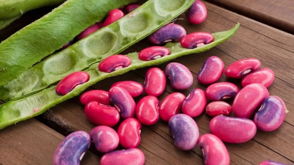 Are Beans Vegetables Or Legumes