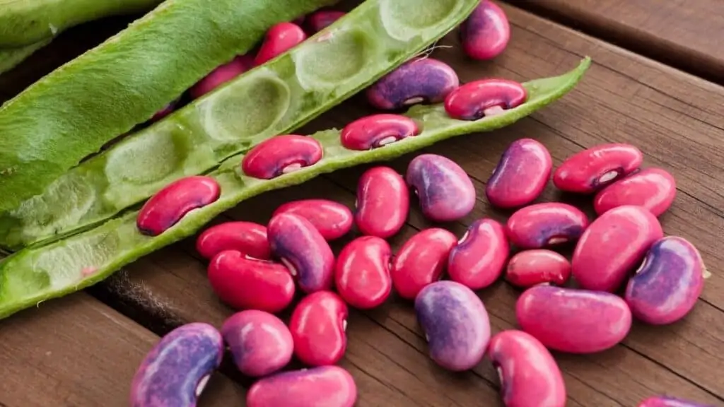 Are Beans Vegetables Or Legumes