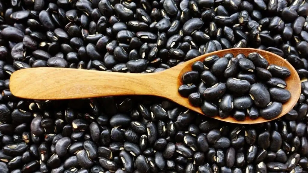 Are Black Beans A Superfood