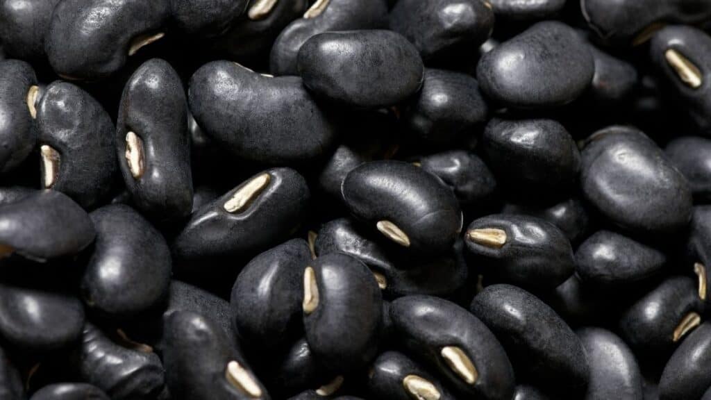 Are Black Beans Inflammatory
