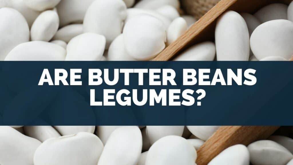 Are Butter Beans Legumes