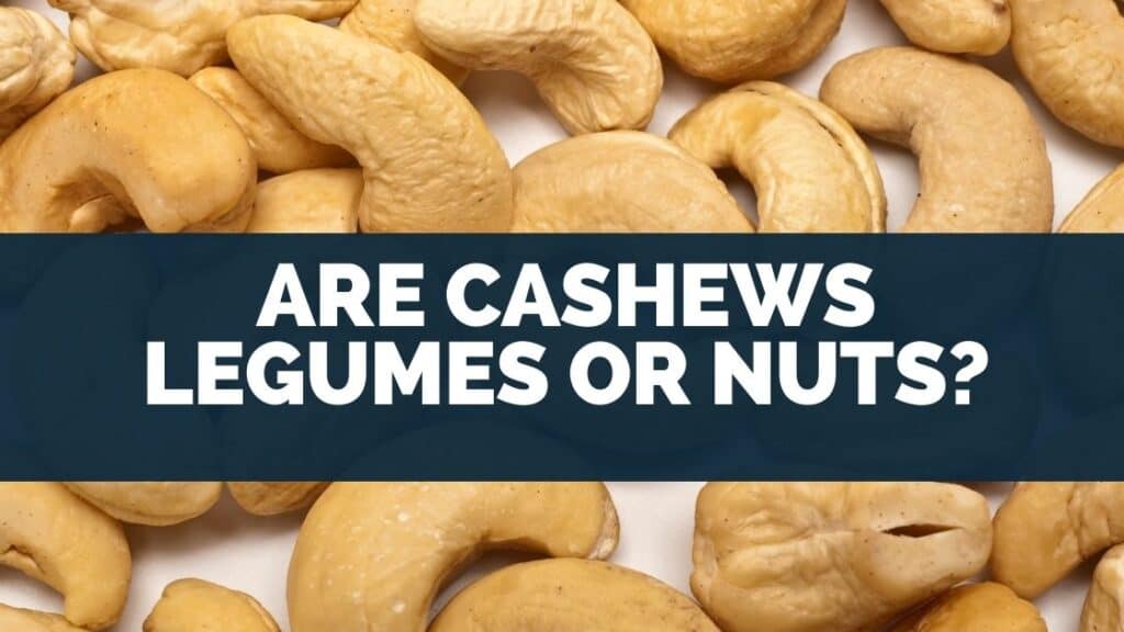 Are Cashews Legumes or Nuts