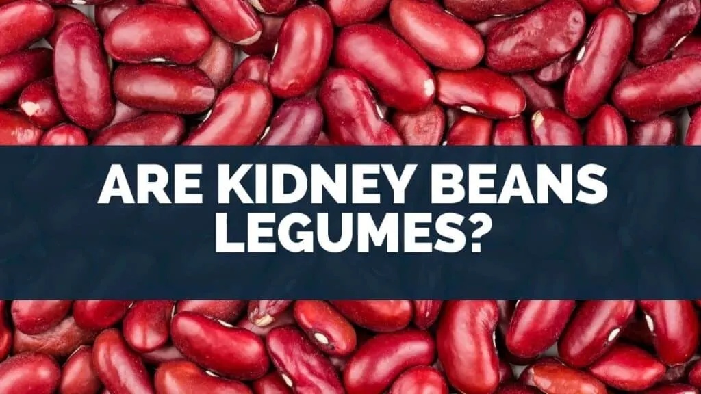 Are Kidney Beans Legumes