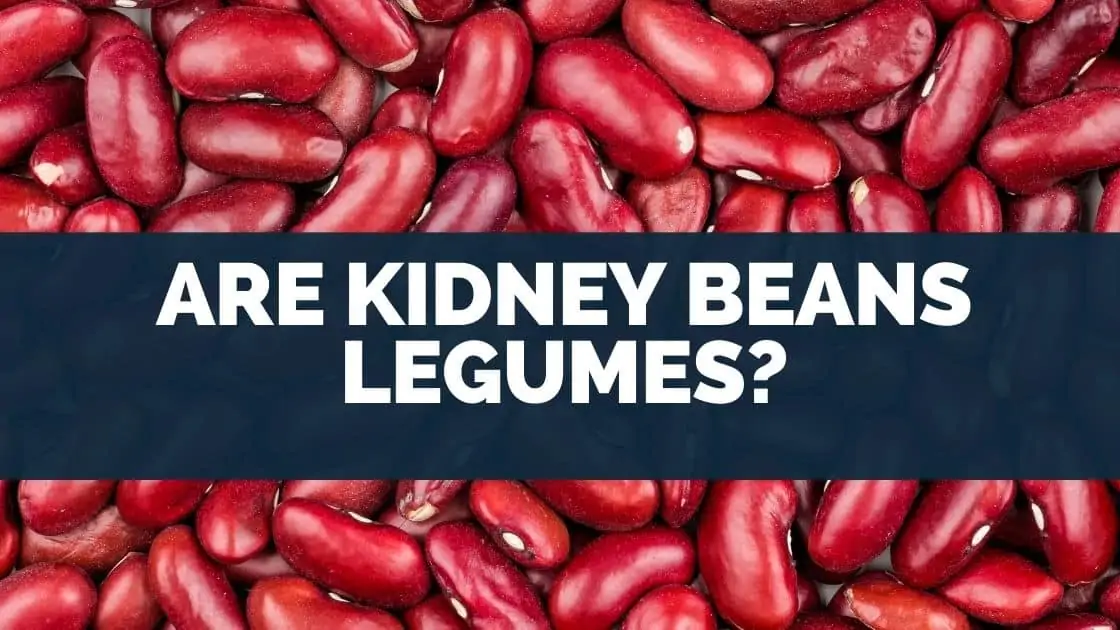 Are Kidney Beans Legumes