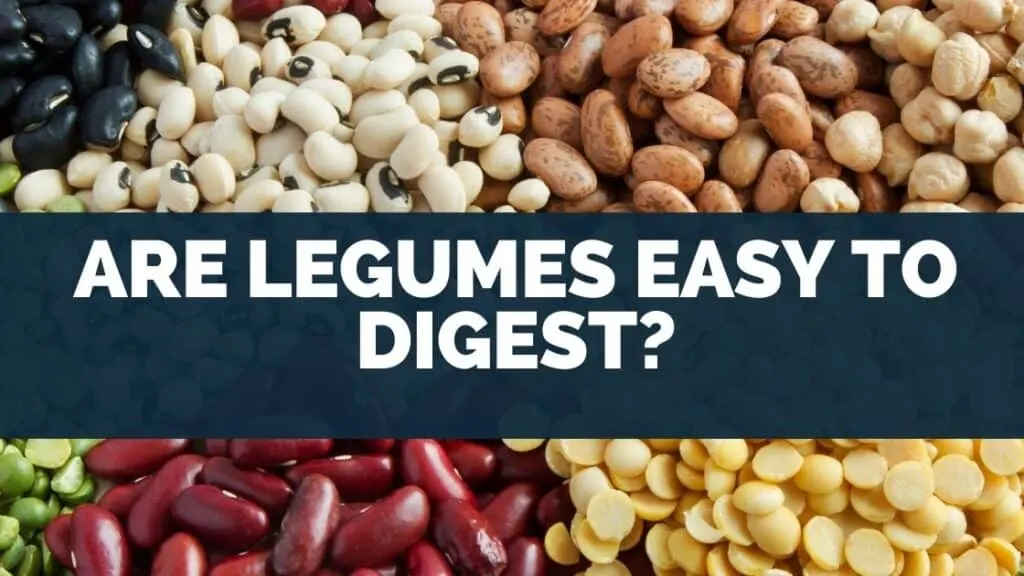Are Legumes Easy to Digest