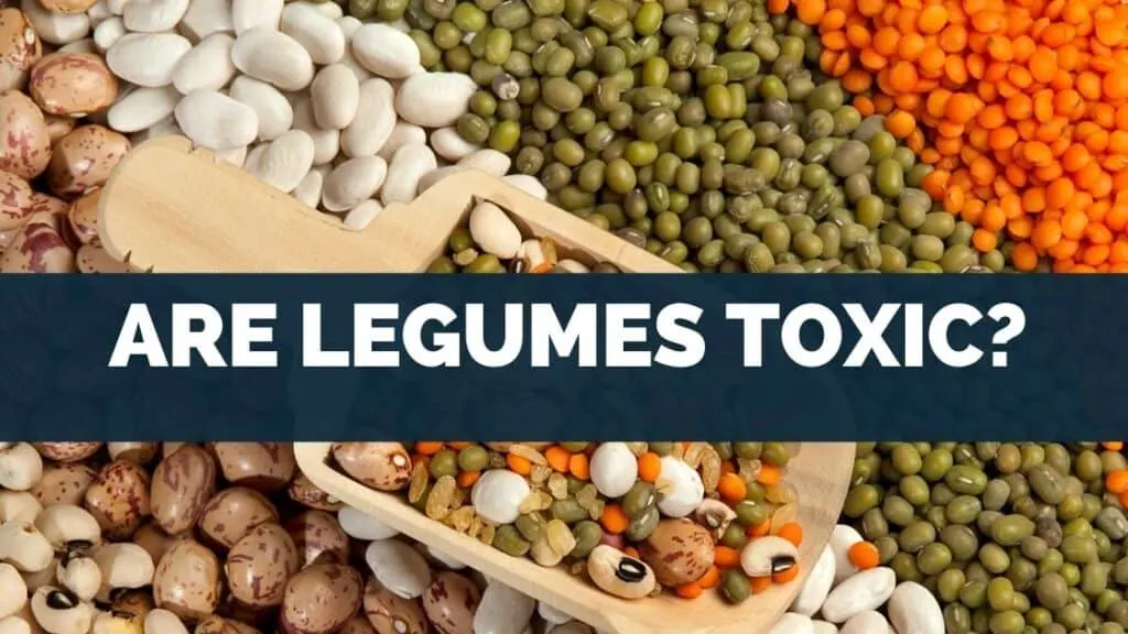 Are Legumes Toxic