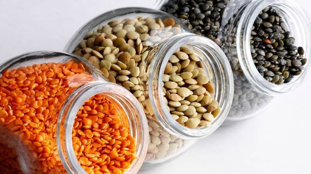Are Lentils Considered A Grain Or Protein