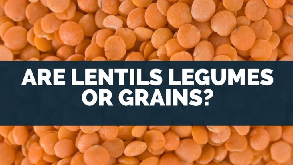 Are Lentils Legumes Or Grains