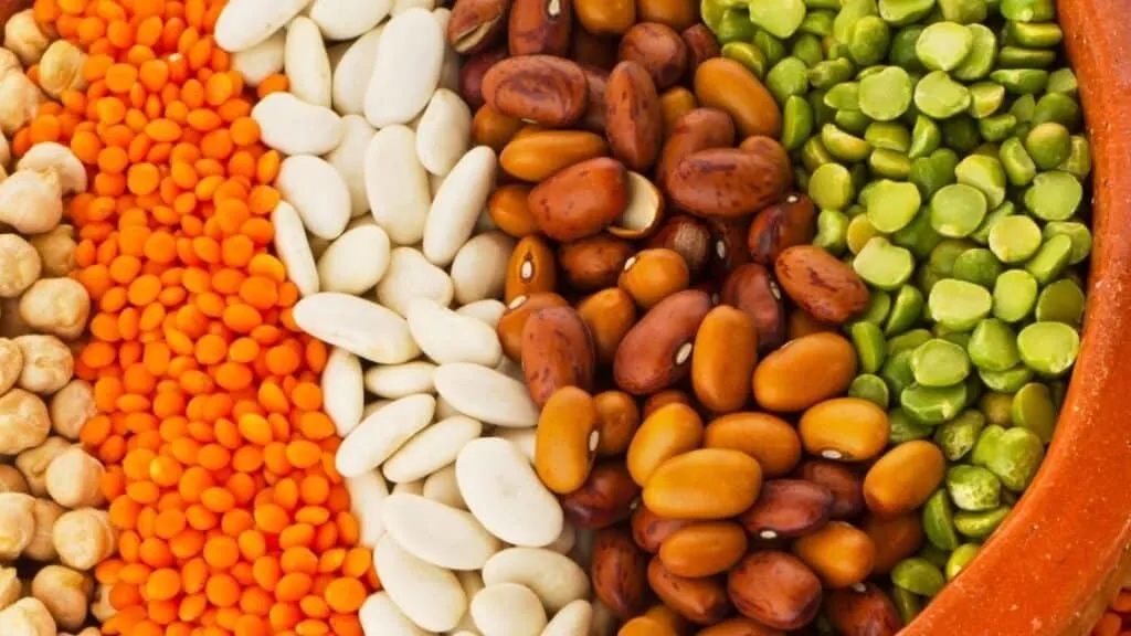 Are legumes low histamine