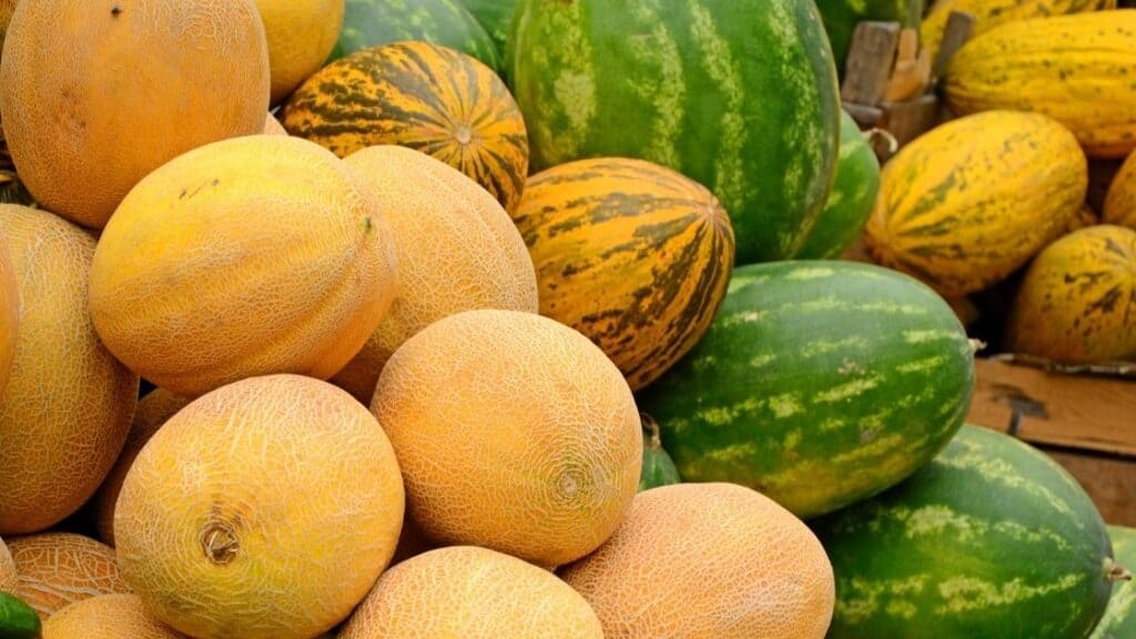 Are melons a vegetable