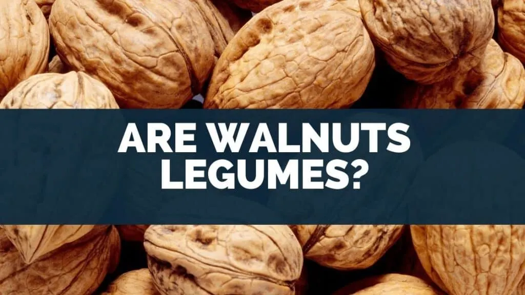 Are walnuts legumes