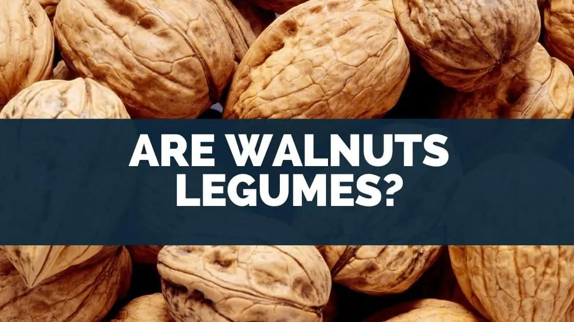 Are walnuts legumes