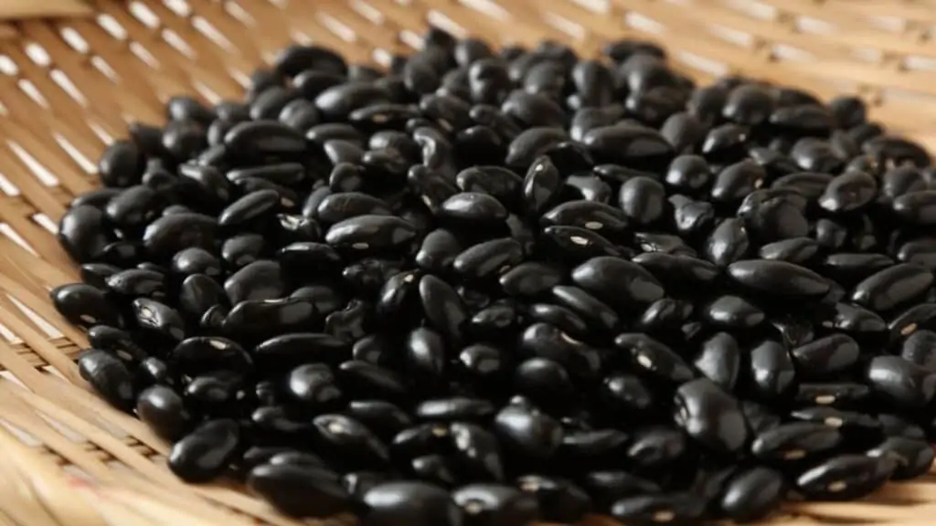 Black Bean Benefits And Side Effects