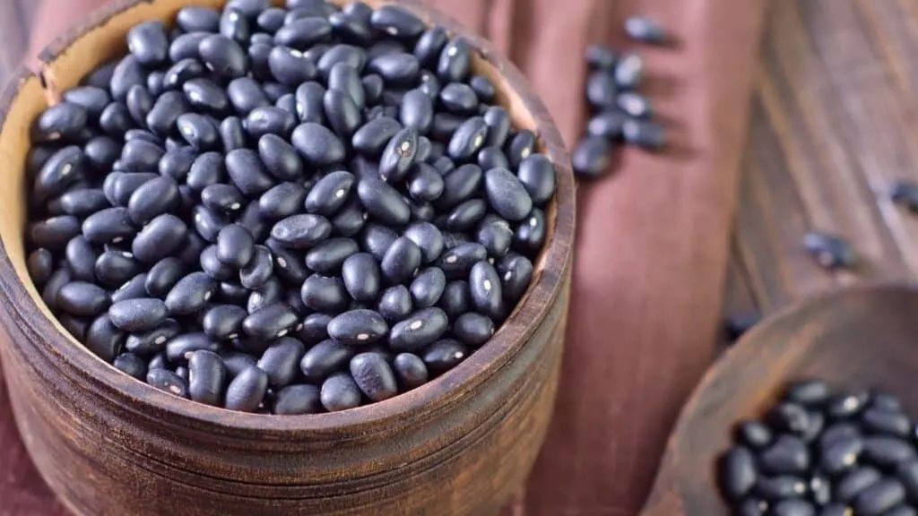 Black Beans Nutrition