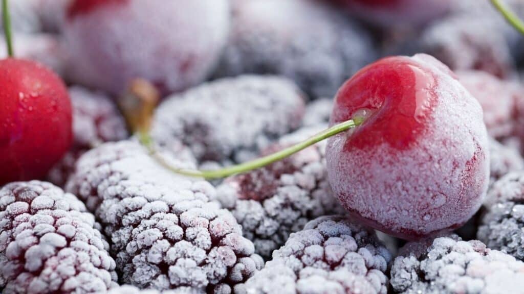 Can I Freeze Fresh Fruit