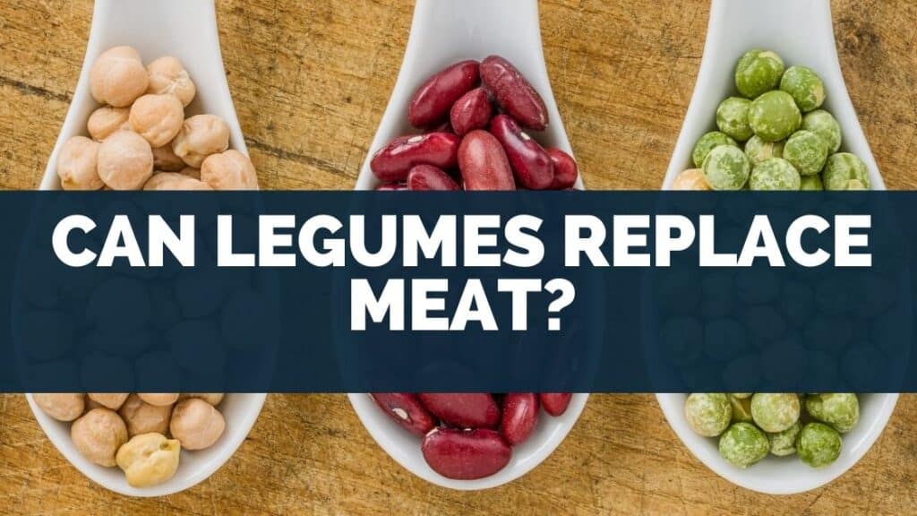 Can Legumes Replace Meat