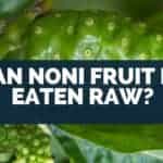 Can Noni Fruit Be Eaten Raw