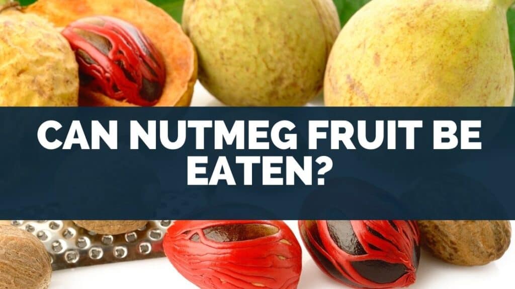 Can Nutmeg Fruit Be Eaten
