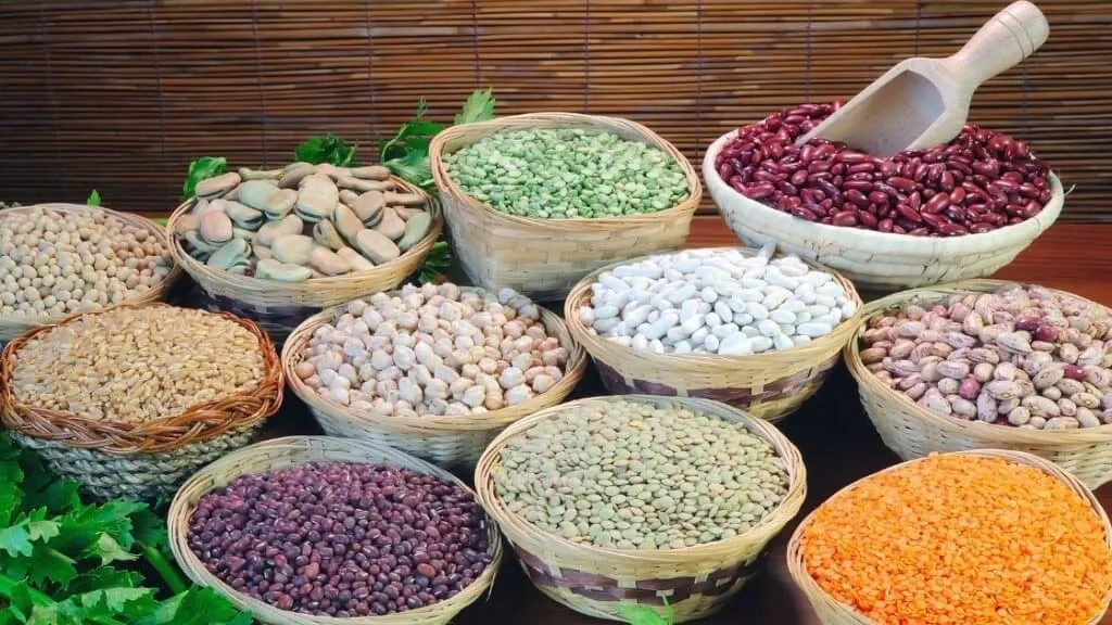 Can pulses replace meat in a meal