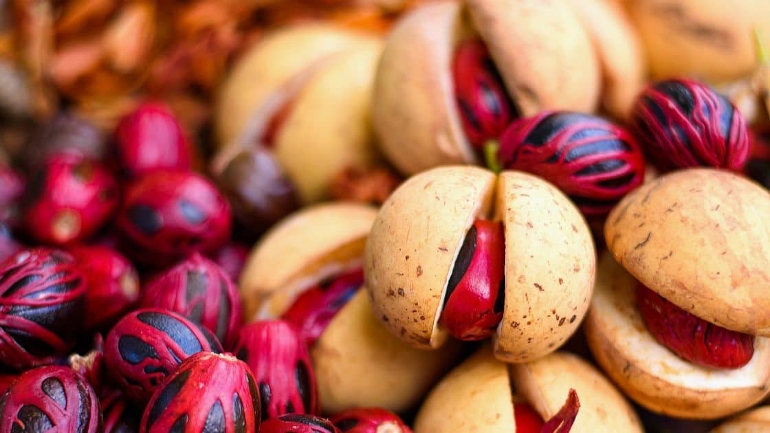 Can Nutmeg Fruit Be Eaten? [Vs Mace, Fruit, Nut]
