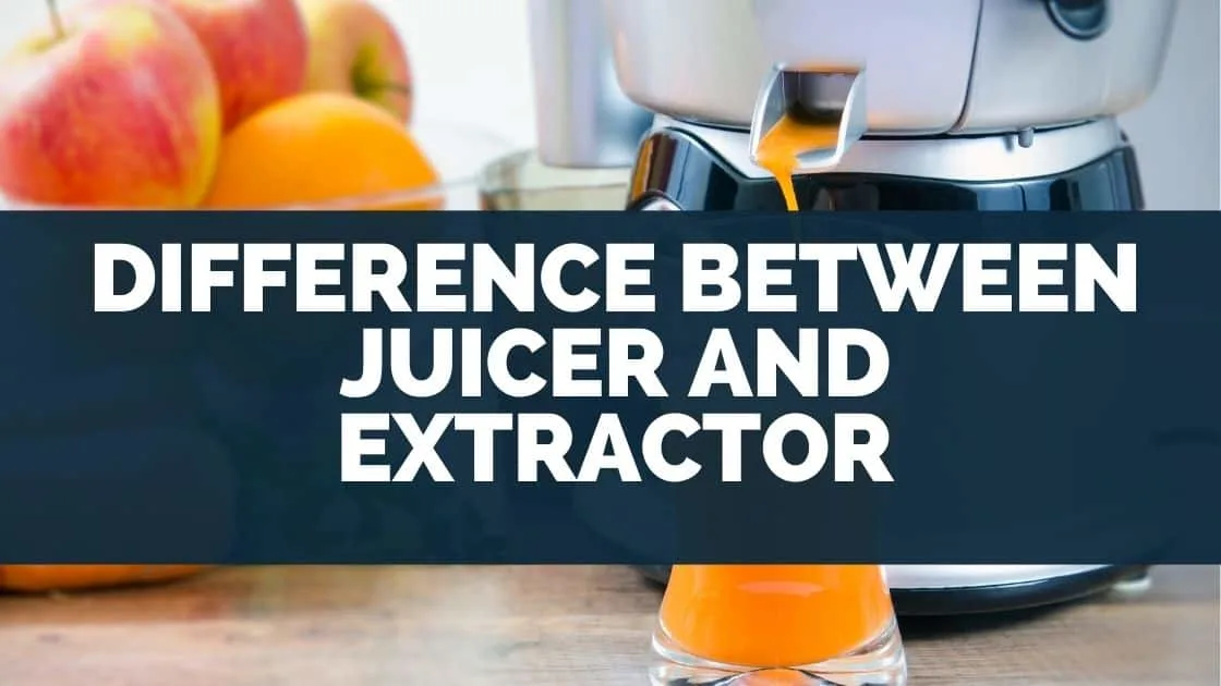 Difference Between Juicer and Extractor