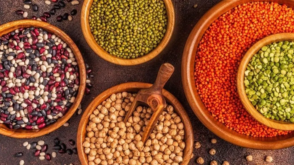 Do legumes cause a leaky gut