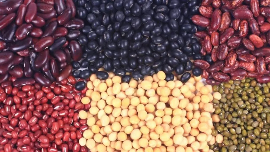 Do legumes raise blood sugar