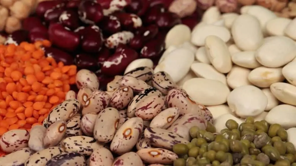 How Do You Remove Tannins From Legumes
