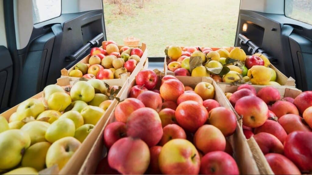 How Long Can Fruit Last in Car