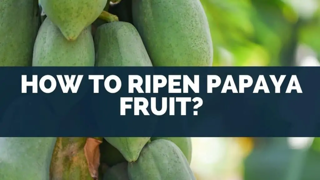 How To Ripen Papaya Fruit