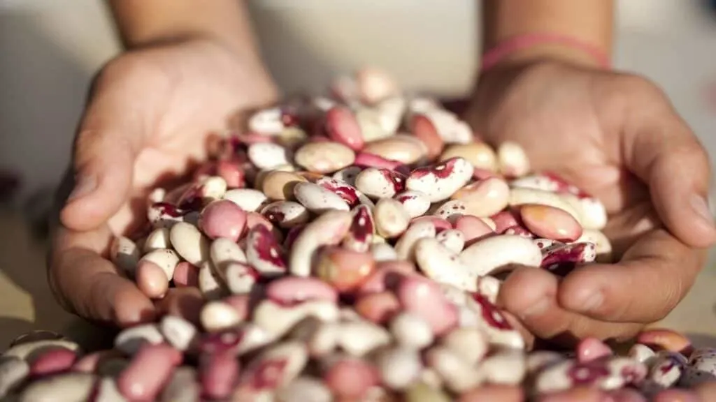 How can I eat beans without getting gas