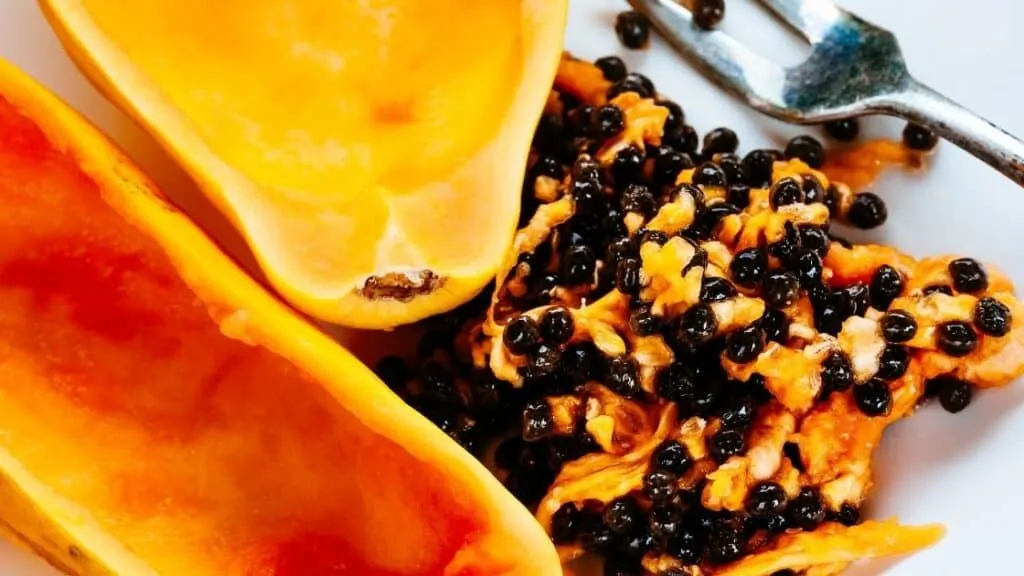 Is It OK To Eat Seeds Everyday