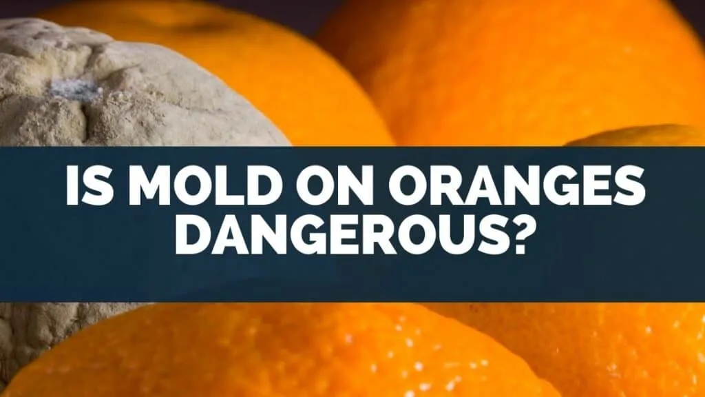 Is Mold on Oranges Dangerous