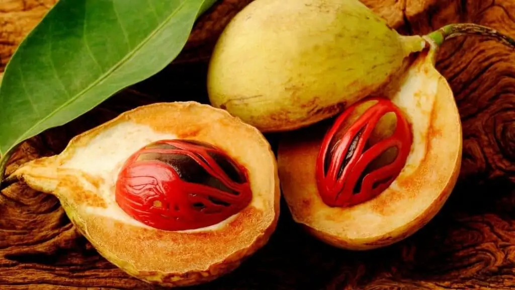 Is Nutmeg a Fruit or Nut