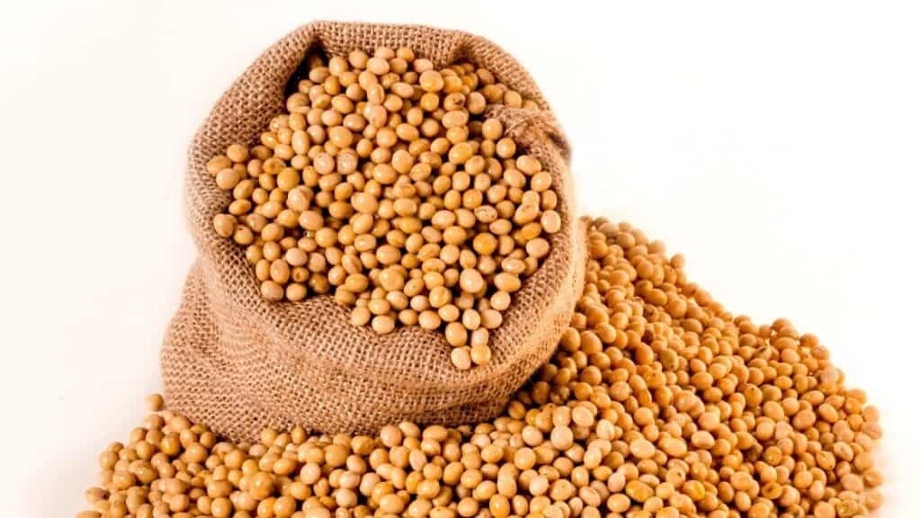 Is soybean high in histamine