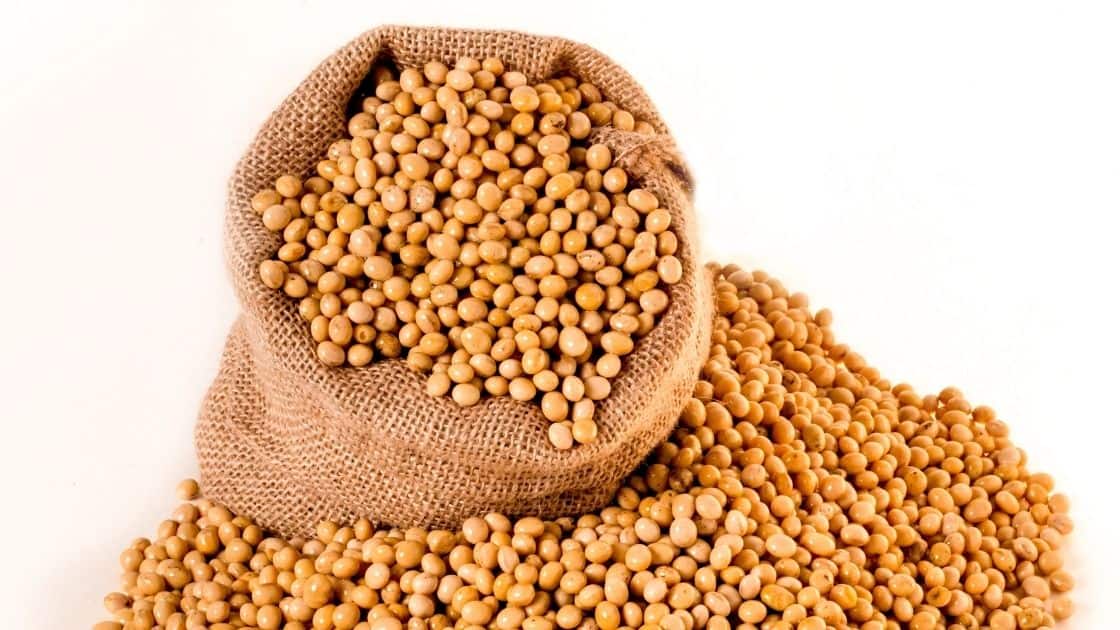 Are Legumes Bad For Inflammation? [Beans, Soy, Histamines] Eat For Longer