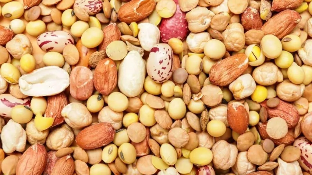 Legumes and nuts examples
