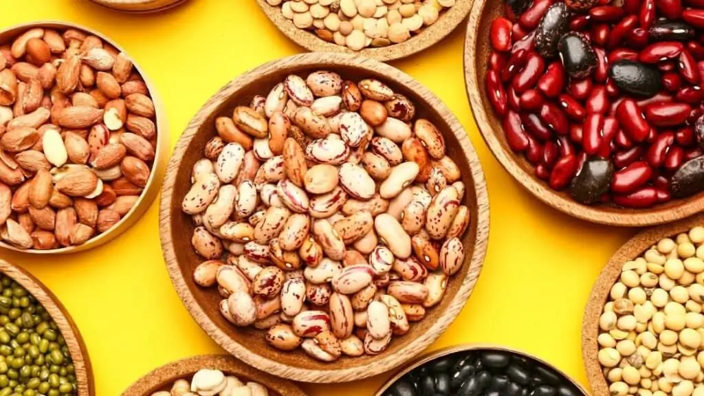 Poisonous Beans List