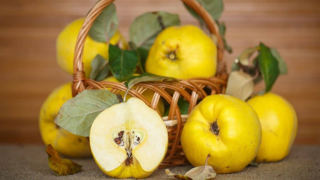 What Are The Benefits Of Quince Fruit? [Vitamins & Taste]