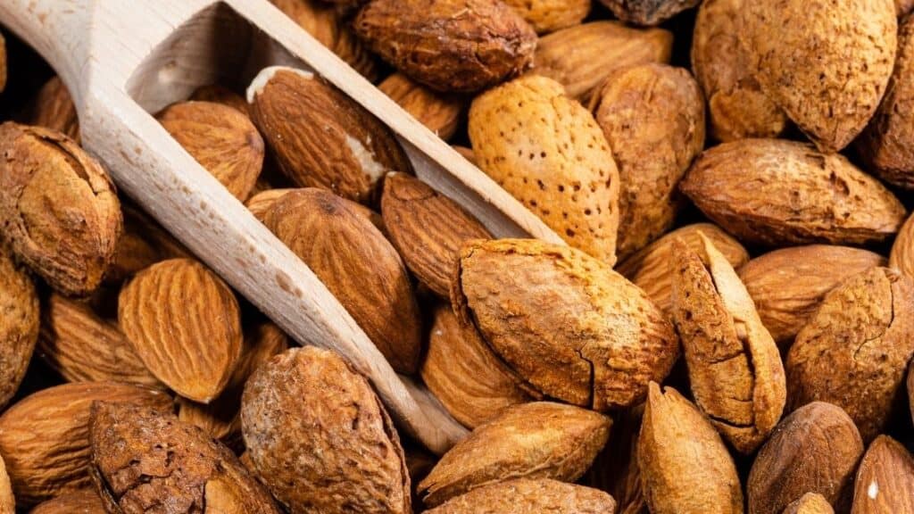 Walnut a nut or a drupe