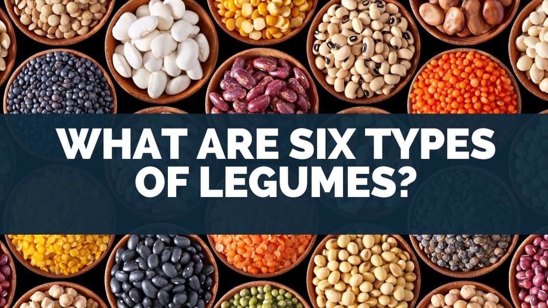 What Are Six Types Of Legumes