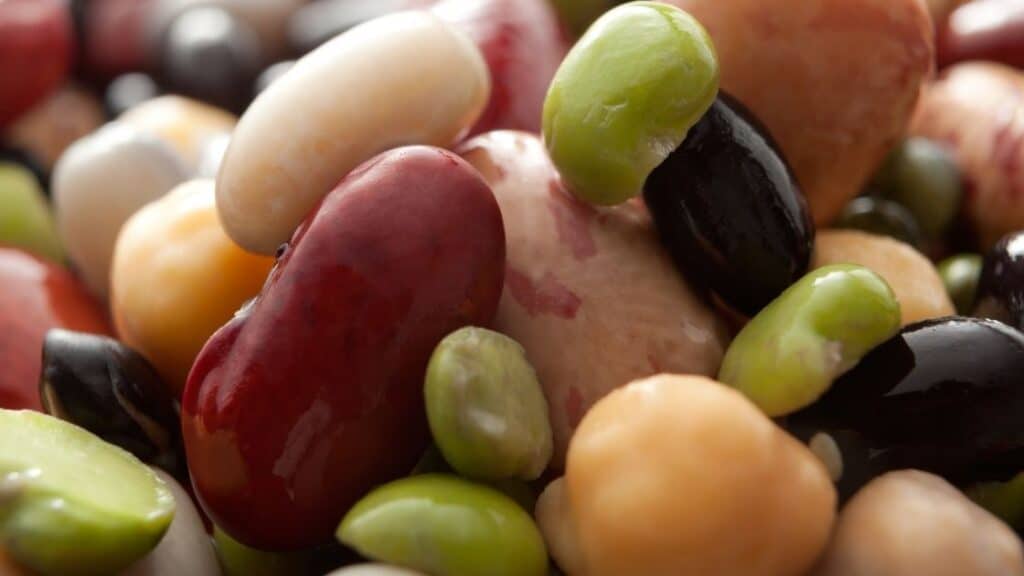 What Bean Is Poisonous When Raw