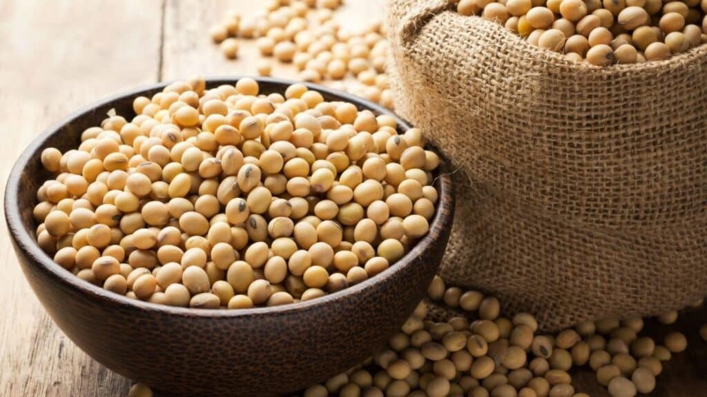 What Beans Have the Lowest Glycemic Index