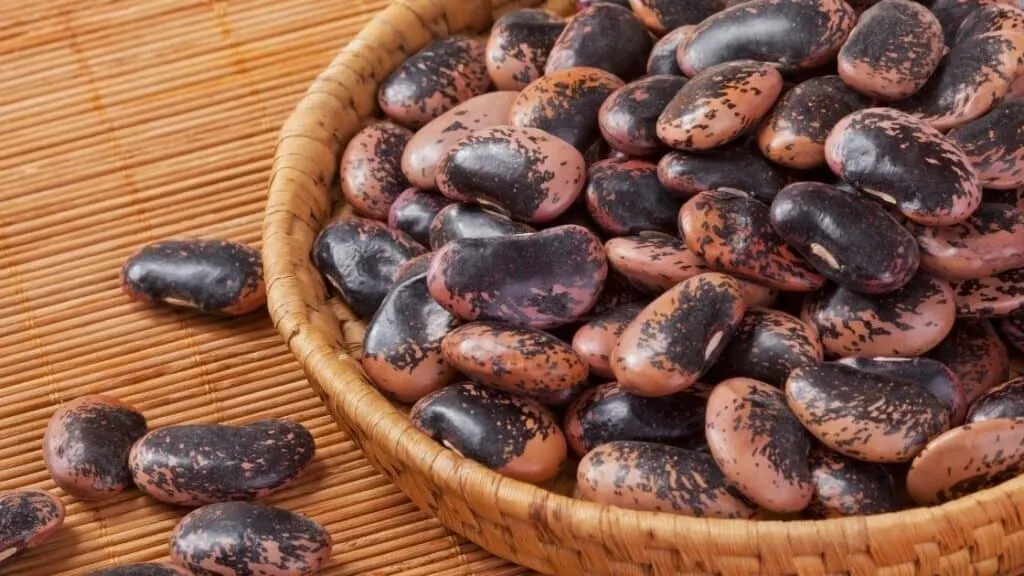 What Can I Use Instead of Butter Beans